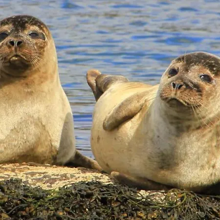 Explore The Wild Atlantic Way Hébergement de vacances