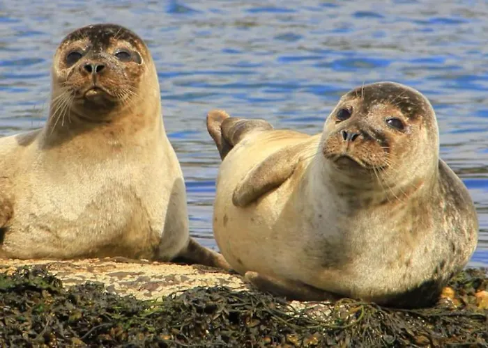 Explore The Wild Atlantic Way Hébergement de vacances